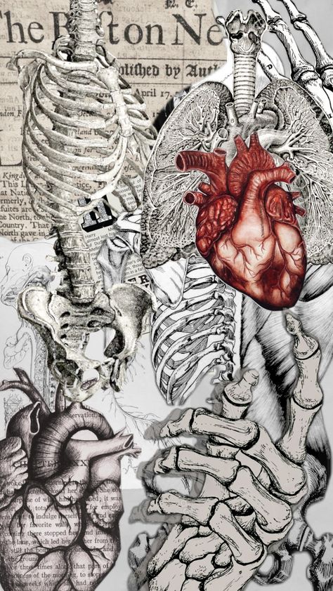 #medicine #anatomy #school #popular #coffeeaesthetic #aeshetic #wishlist #halloween #doctorwho #nurse #surrealism Medical Lockscreen, Medicine Art Anatomy, Medicine Aesthetic Wallpaper, Anatomy Background, Medicine Wallpaper, Organs Anatomy, Medicine Anatomy, Vintage Medical Art, Anatomy Wallpaper