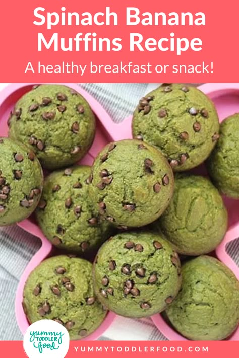 Spinach Banana Muffins, Green Muffins, Kid Breakfast, Toddler Muffins, Orange Brownies, Spinach Muffins, Quinoa Muffins, Pesto Vegan, Veggie Muffins