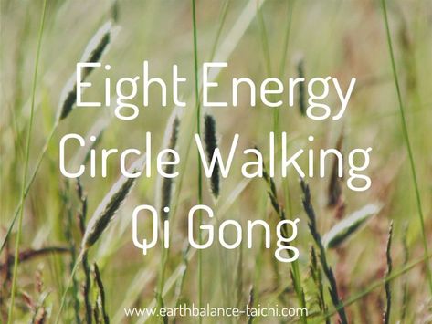 8 Trigrams, Eight Trigrams, Chi Gong, Qigong Exercises, Tai Chi Exercise, Chi Energy, Tai Chi Qigong, Increase Circulation, Body Connection