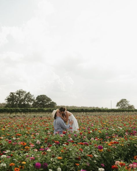 a proposal in a field of flowers > Rachel & Reed over the weekend in Fredericksburg at Becker Vineyards 🌸 Shot by BRP associate team - if I’m ever personally unavailable for your date, I have my associate team that is AMAZING & your gallery will always be cohesive with the BRP brand! Shot by associate Gabrielle 🤍 . . . . Dallas Texas photographer, Dallas wedding photographer, Texas wedding photographer Field Of Flowers Proposal, Proposal Must Haves, Dallas Proposal, Proposal In A Field, Flowers Proposal, Proposal Flowers, Flower Field Proposal, Field Proposal, Fredericksburg Texas