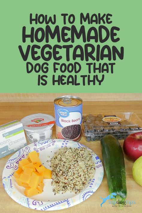 Vegetarian Dog Food, Dog Vegetables, Vegetarian Dog Food Recipe, Diet For Dogs, Vegan Dog Food, Home Cooked Dog Food, Dog Food Recipe, Cook Dog Food, Vegan Dog