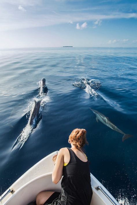 Spinner dolphins in the Maldives breaking through the mirror like surface and are getting so close to the boat that we can almost touch them. People Underwater, Travel Zine, Boat Lifestyle, Dzimšanas Diena, Travel Maldives, Maldives Beach, Visit Maldives, Maldives Travel, Water Creatures