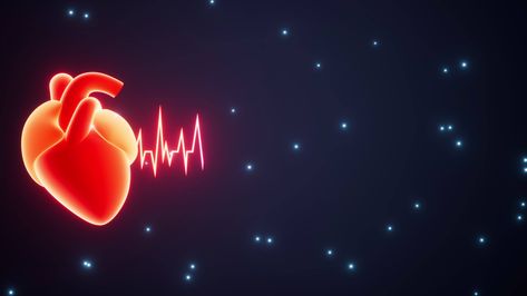 The Human Heart, Human Heart, Muslim Book, Heart Beat, Free Stock Video, 3d Rendering, In A Heartbeat, Stock Video, Stock Footage