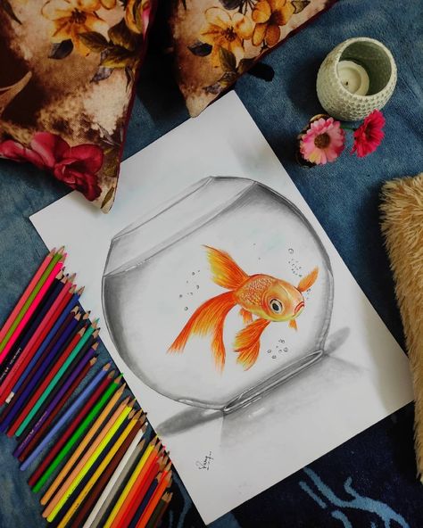 Hyper realistic coloured pencil colour drawing Colored Pencil Artwork Ideas Beautiful, Pencil Colours Art Drawings, Fish In Bowl, Pencil Colour Drawing, Pencil Clipart, Bird Watercolor Art, 3d Pencil Drawings, Ap Drawing, Sun Drawing