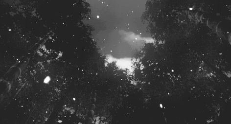 Winter Snow Animated Gifs at Best Animations Snow Falling Gif, Falling Gif, Anime Snow, Rain Gif, Snow Gif, Concept Art Gallery, Hades And Persephone, Banner Gif, 수채화 그림