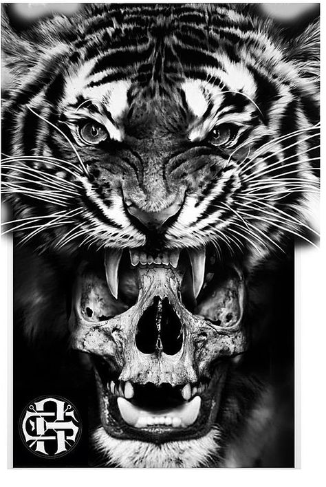 Tiger Skull, Tiger Tattoo Design, Back Piece Tattoo, Full Back Tattoos, Chest Piece Tattoos, Back Tattoos For Guys, Chest Tattoo Men, Greek Tattoos, Skull Tattoo Design