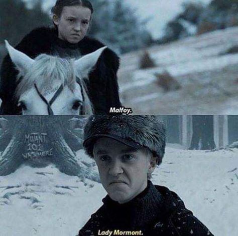 Mormont Game Of Thrones, Lady Mormont, Game Of Thrones Meme, Bran Stark, Game Of Thrones Facts, Game Of Thrones Quotes, Game Of Thrones Funny, Got Memes, Gra O Tron