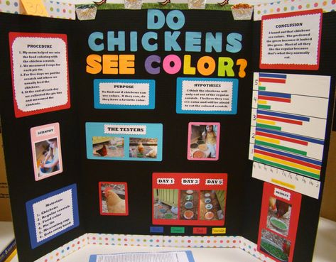 Science Project(1) | Shannon Duffy | Flickr Science Fair Topics, Winning Science Fair Projects, Science Fair Poster, Science Fair Board, Dog Science, Science Fair Experiments, Science Fair Projects Boards, Red School House, Reading Fair