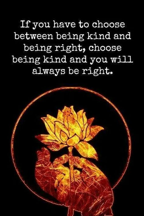 Choose being kind and you will always be right - Choose Wisely~ Dalai Lama Quotes, Now Quotes, Dalai Lama, Quotable Quotes, A Quote, Good Advice, The Words, Great Quotes, Namaste