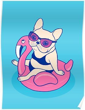 Frenchie enjoys Summer on Flamingo Pool Float in swimming pool Poster Pool Party Artwork, Pool Drawing, Flamingo Pool Float, Flamingo Pool, Cute French Bulldog, Rock Ideas, Enjoy Summer, Painted Rock, Pool Designs