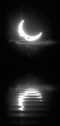 Night Nature GIF - Night Nature Moon - Discover & Share GIFs Shoot The Moon, Moon Pictures, Sun Moon Stars, Good Night Moon, Beautiful Moon, Moon Glow, Moon Magic, Moon Art, Sun Moon