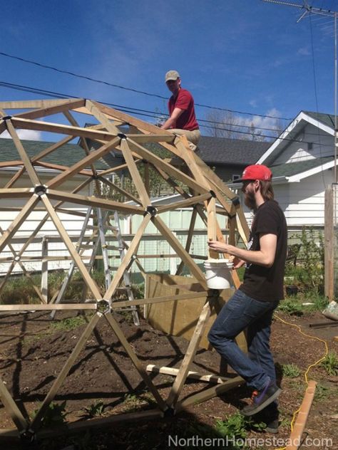 Diy Greenhouse.  #greenhousegardening #greenhouse #gardeningtips #gardeningideas#greenhouse #plants  #garden #green #gardening #flowers #vegetablegardening #diy Geodome Greenhouse, Geodesic Dome Greenhouse, Greenhouse Design, Victorian Greenhouses, Plant Watering System, Greenhouse Supplies, Dome Greenhouse, Geodesic Dome Homes, Build A Greenhouse