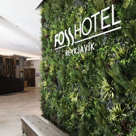 Artificial Walls for Cafes, Restaurants & Hotels | Fake Living Walls Iceland Hotels, Green Wall Plants, Hotels In France, Artificial Green Wall, Wall Signage, Artificial Plant Wall, Living Walls, Summer Escape, Artificial Foliage