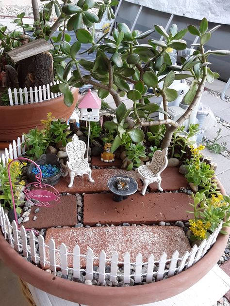 Fairy House Crafts, Beautiful Terrariums, House Crafts, Succulent Garden Diy, Miniature Gardens, Container Gardens, Tiny Things, Succulent Garden, Ceramics Projects