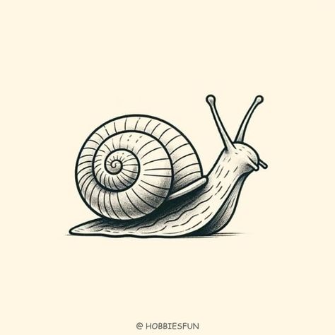 Snail Sketch, Sea Snail Drawing, Small Snail Drawing, Aesthetic Snail Drawing, Cute Snail Tatoos, Snail Illustration, Snail Drawing, Snail Simple Draw, Snail With House On Back Drawing