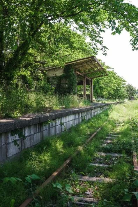 Apocalypse Landscape, Apocalypse Aesthetic, Post Apocalyptic Art, Abandoned Train, Abandoned Buildings, Brutalism, Dieselpunk, Nature Aesthetic, End Of The World