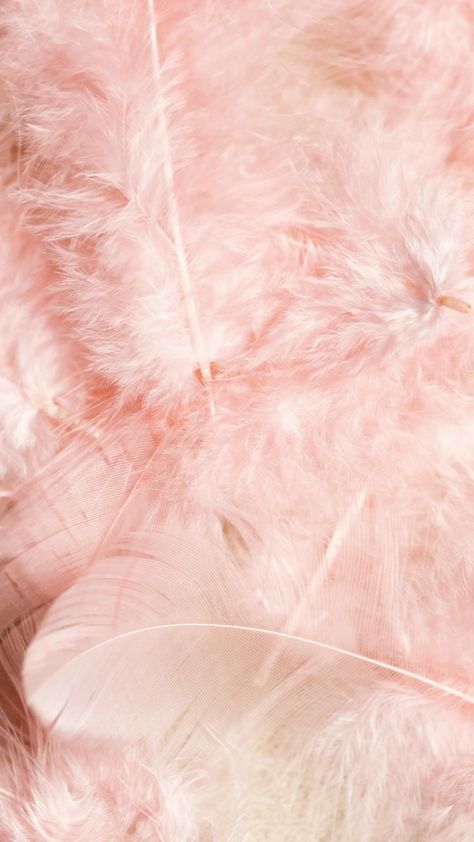 Pale Pink Aesthetic, Floral Wallpaper Phone, Bubble Gum Pink, Iphone Backgrounds, Pink Feathers, Beautiful Backgrounds, Healthy Skin Care, Phone Themes, Powder Pink