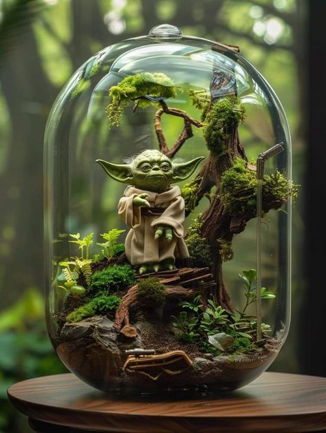 Star Wars Garden, Water Terrarium, Cloche Decor, Terrarium Jar, Terrarium Ideas, Beautiful Terrariums, Faeries Gardens, Inside Plants, Garden Mini