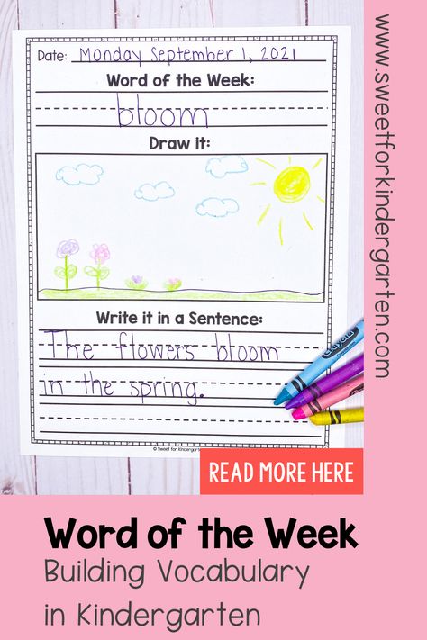 Have you ever used a "Word of the Week" in your kindergarten classroom? This vocabulary routine is one of the best ways to teach vocabulary in a meaningful way. Click the pin to learn how to use a word of the week to boost your kindergarten students' vocabulary knowledge and confidence! Kindergarten Vocabulary Worksheet, Vocabulary Activities For First Grade, Word Of The Week Ideas, Vocabulary For Kindergarten, Vocabulary Activities For Kindergarten, Word Of The Week, Word Of The Day Vocabulary, Kindergarten Vocabulary Activities, Kindergarten Vocabulary Words