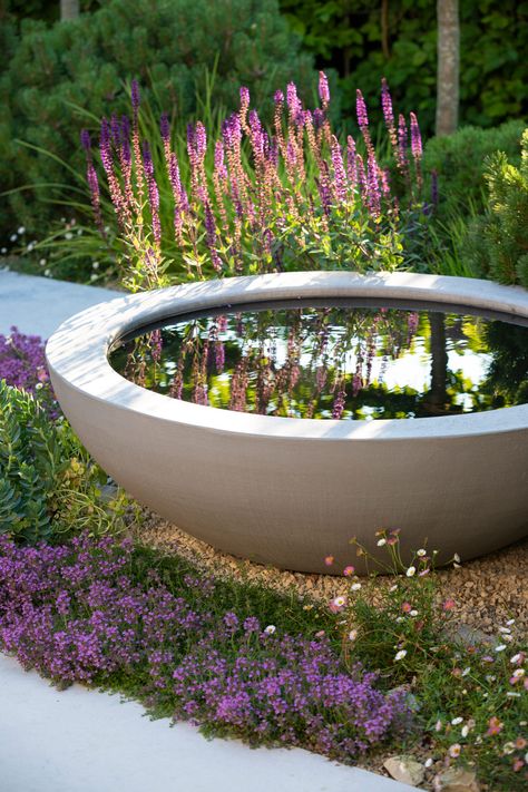 Suffolk Garden Design | outdoor living in Bury St Edmunds Garden Walkway Ideas, Ideas Garden Design, Naturalistic Garden, Walkway Ideas, Bury St Edmunds, Terra Nova, Garden Walkway, Modern Garden Design, Family Garden