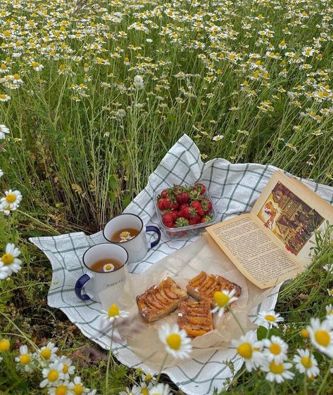 Summer Photo Shoot Ideas, Picnic Dinner Party, Picnic Aesthetics, French Picnic, Summer Photo Shoot, Picnic Dinner, Picnic Summer, Meditation Scripts, Summer Aesthetics