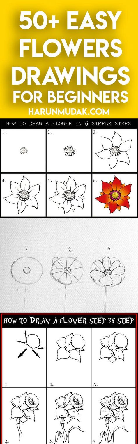 Flower Drawings Step By Step, New Mexico Flowers, Flower Drawing For Kids, Mexico Flowers, Flowers Step By Step, Very Easy Drawing, Simple Flower Drawing, Cool Easy Drawings, Easy Flower Drawings