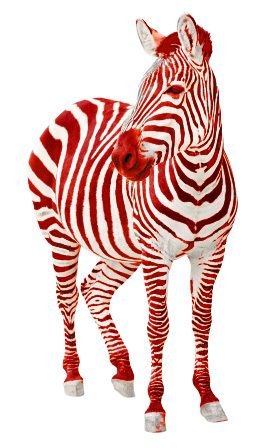 What's Red, White & Blue all over? Like Mother, Like Sons Fourth of July blog! Animal Facts Interesting, Animal Facts For Kids, Wild Animals Photography, Animal Cutouts, Zebra Art, Zebras Animal, Facts For Kids, Animal Facts, Horse Pictures