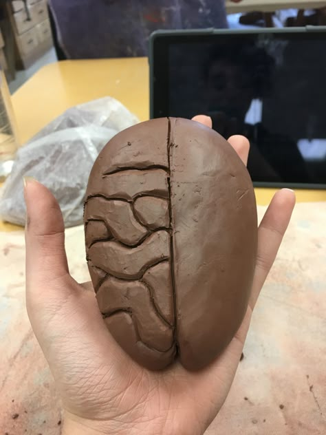 Here I’ve begun to construct the half brain/ half heart that will be the center of my sculpture. Does it mean anything that I started with the brain? Sculptures With Meaning, Brain Sculpture Clay, Brain Pottery, Brain Ceramic, Clay Brain, Brain Sculpture, Coil Bowl, Psychology Wallpaper, Material Exploration