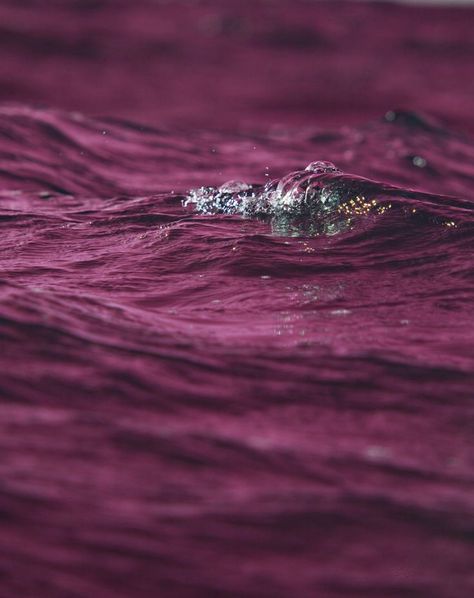 Tyrian purple is a kind of True Winter burgundy. It's a cool, reddened violet. Very regal. Burgundy Texture, Burgundy Aesthetic, Pantone Red, Yennefer Of Vengerberg, Pink Ocean, True Winter, Pink Sea, Colour Texture, Shades Of Burgundy