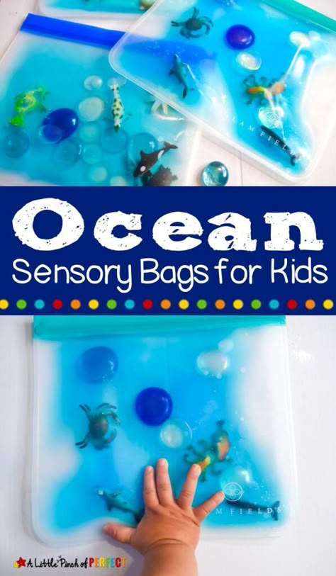 Ocean Sensory, Sensory Bag, Sensory Bags, Giant Bubbles, Baby Sensory Play, Ocean Activities, Baby Activity, Sensory Bottles, Animal Activities