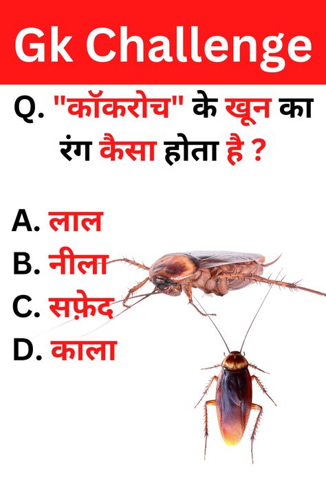 Top 20 Gk Questions And Answers || Gk Question || Gk Quiz || Gk in Hindi General Knowledge PT-7 👉 top 20 gk questions with answers 👉 gk questions with answers 👉 gk questions in hindi 👉 gk questions and answers in hindi 👉 gk questions 👉 gk quiz questions 👉 gk quiz 👉 general knowledge 👉 general knowledge quiz with answers 🔎 HASHTAGS 🔎 #gkstudytour #gkquestionsandanswers #gkquestions #gkquestion #top20gkquestionandanswer #gk #gkquiz #gkinhindi #indiagkinhindi Gk Questions And Answers In Hindi, Gk Quiz Questions Hindi, Gk Questions And Answers In English, Gk Knowledge In Hindi, General Knowledge Quiz With Answers, Gk Question In Hindi, Gk Quiz Questions, India Gk, Youtube Facts