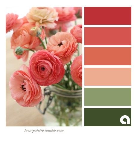 Coral Colour Palette, Color Schemes Colour Palettes, Color Palate, Design Seeds, Color Palette Design, Color Balance, Color Harmony, Wedding Business, Floral Color