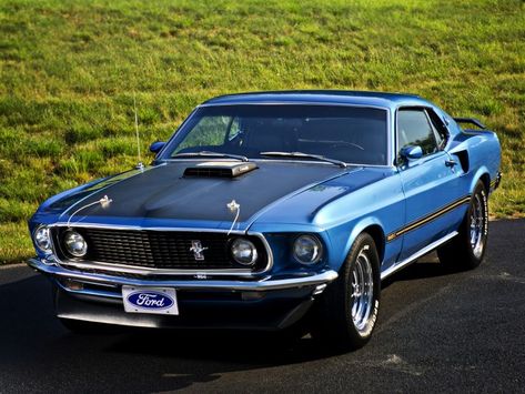 1969 ford mustang mach-1 428 cobra jet with shaker hood Pontiac Gto 1969, 1969 Mustang Mach 1, Mustang Cobra Jet, 1968 Pontiac Gto, Ford Mustang 1969, 1969 Mustang, Blue Mustang, 1965 Pontiac Gto, 1969 Ford Mustang