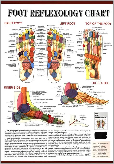 Foot Pressure Points, Acupuncture Points Chart, Ear Reflexology, Reflexology Foot Chart, Foot Reflexology Massage, How To Stop Coughing, Massage Therapy Techniques, Reflexology Chart, Reflexology Massage