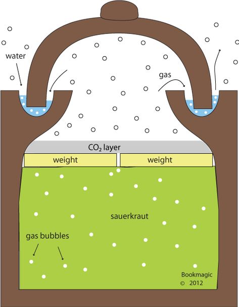 sauerkraut fermenting water channel Leftover Cabbage, Fermenting Crock Pots, Fermenting Jars, Fermentation Crock, Shredded Cabbage, German Word, Fermented Cabbage, Pottery Lessons, Pottery Form