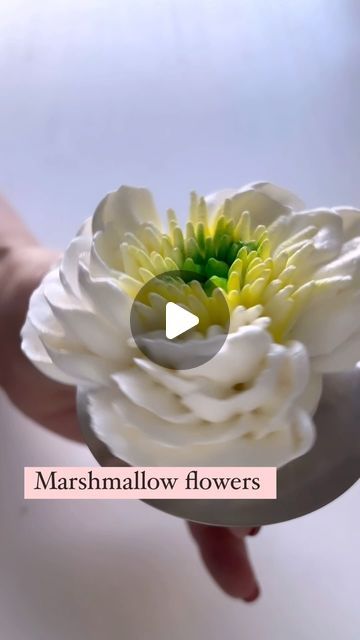 Buttercream Tutorials, Marshmallow Flowers, Chocolate Bouquet Diy, Cake Flowers, A Beautiful Flower, Chocolate Bouquet, Diy Bouquet, Cake Decorating Tips, Flower Tutorial