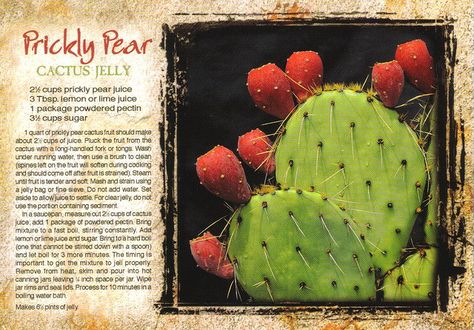 photo Cactus Jelly, Prickly Pear Jelly, Usa Recipes, Prickly Pear Recipes, Pear Jelly, Cactus Recipe, Prickly Pear Juice, Recipe Postcard, Pear Preserves