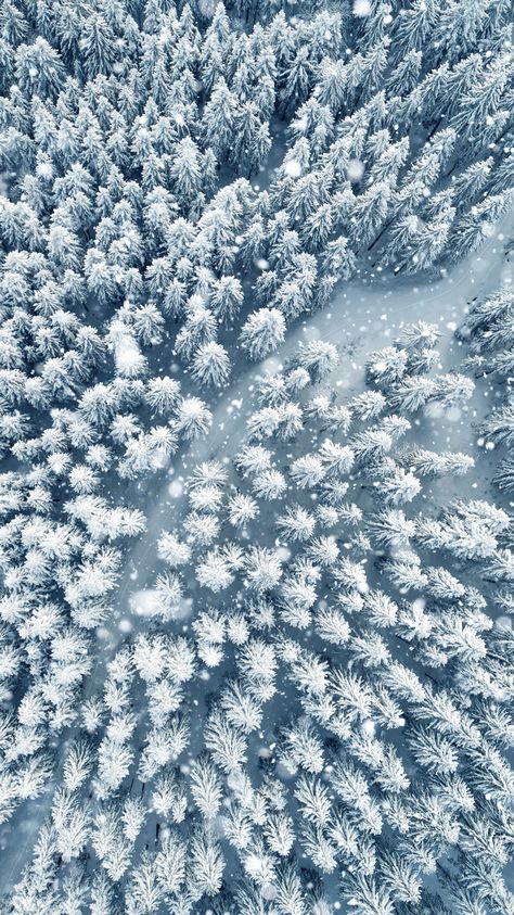 Winter Snow Wallpaper, Winter Wallpapers, Wallpaper Forest, Snow Forest, Snowy Forest, Travel Wallpaper, Wallpaper Iphone Christmas, Forest Wallpaper, Winter Wallpaper