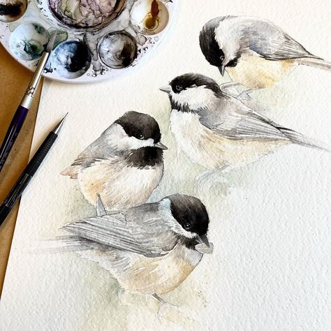 Chickadee Illustration, Sparrow Art, Bird Artists, Animal Watercolor, Watercolor Paintings Nature, Micron Pen, Bird Watercolor Paintings, Bird Drawing, Bird Watercolor