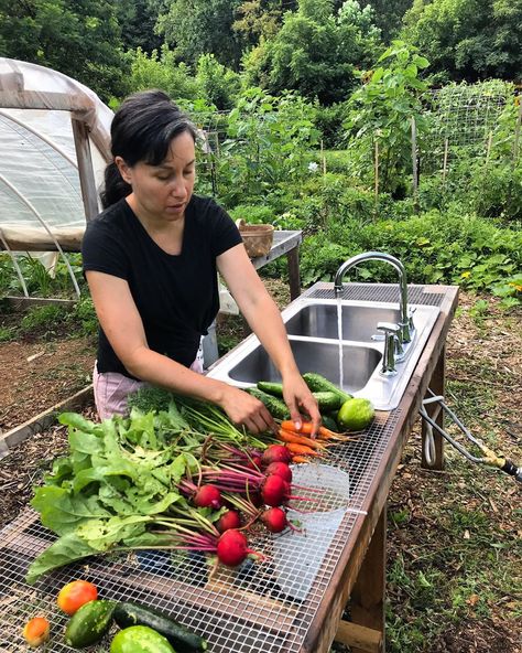 Veggie Washing Station, Greenhouse Goals, Outdoor Garden Sink, Veggie Wash, Garden Station, Washing Station, Garden Sink, Frozen Water, Vegetable Garden Planning