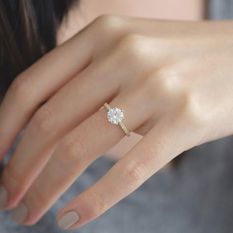 Pave Engagement Ring Round, Engagement Rings Round Gold, Rings Moissanite, Pave Solitaire Engagement Ring, Round Solitaire Engagement Ring, Cute Engagement Rings, Future Engagement Rings, Round Solitaire, Round Engagement Rings