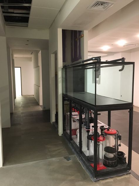 New office custom peninsula 185 gallon build thread | Page 13 | REEF2REEF Saltwater and Reef Aquarium Forum Peninsula Reef Tank, Peninsula Aquarium, Ecosystem Aquarium, Aquarium Sump, Fish Tank Wall, Aqua Scaping, Saltwater Aquariums, Wall Aquarium, Saltwater Aquarium Fish