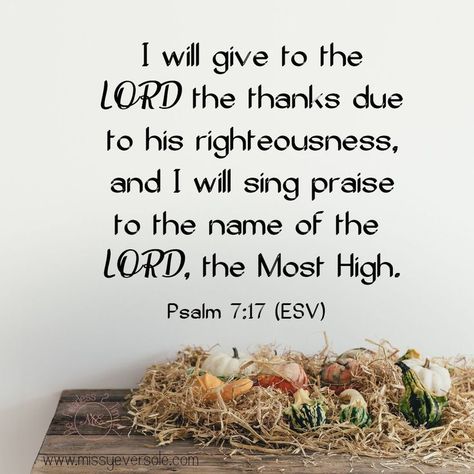 Thanksgiving is the time to reflect back on all the Lord has blessed us throughout the year. #bibleversesforthankfulness #bibleversesforthanksgiving #thankfulnessbibleverses Chose To Be Happy, Sing Praises To The Lord, Thanksgiving Devotions, Psalm 7, Weekend Inspiration, Belt Of Truth, Choose To Be Happy, I Am Hungry, Adrian Rogers