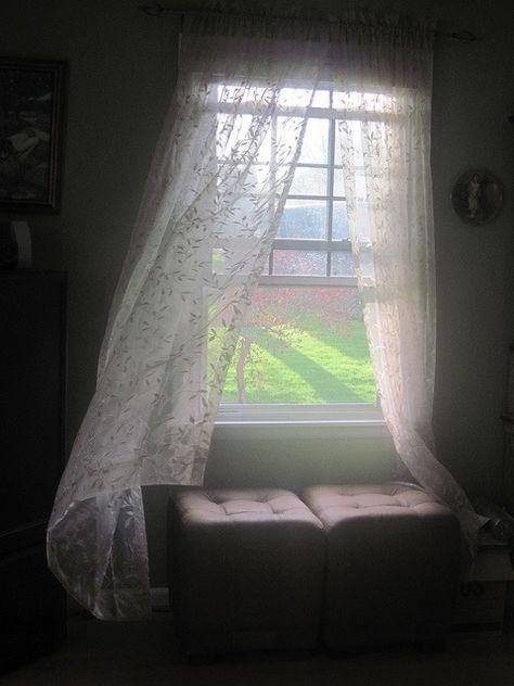 Love the billowing sheer curtains of summer. Curtains Blowing, Unique Windows, A Room With A View, Blowing In The Wind, Looking Out The Window, Beautiful Windows, Room With A View, Window Dressings, Lace Curtains