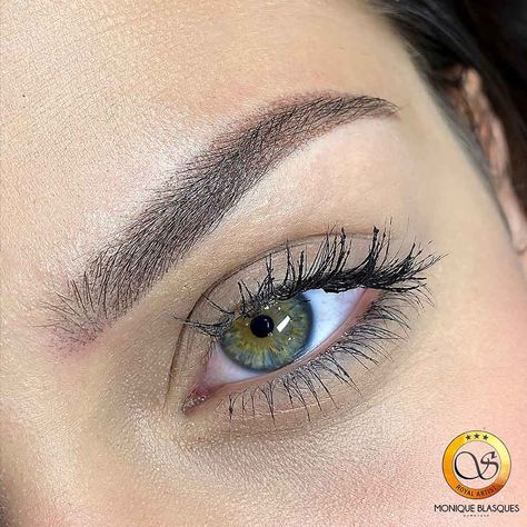 Tattoo Brows, Mircoblading Eyebrows, Ombre Eyebrows, Types Of Eyebrows, Straight Eyebrows, Permanent Makeup Eyeliner, Semi Permanent Eyebrows, Powder Brows, Natural Curly Hair Cuts