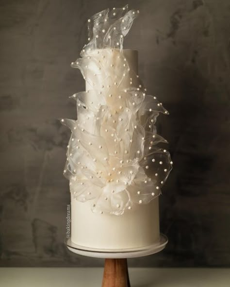 Wedding White Cake Elegant, Single Tier Wedding Cake Display, Elegant Modern Wedding Cake, Wedding Cake With Pearls, Pearl Wedding Cake, Wedding Cake Designs Elegant, Elegant Cake Design, Fancy Wedding Cakes, Wedding Cake Pearls