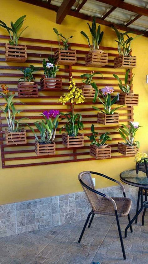 71+ Unique Patio Home Decor Stylish Ideas Creative Ways To Display Plants, Ways To Display Plants, Indoor Vine Plants, Indoor Vines, Hanging Indoor Plants, Hanging Orchid, Unique Patios, Indoor Orchids, Orchid House