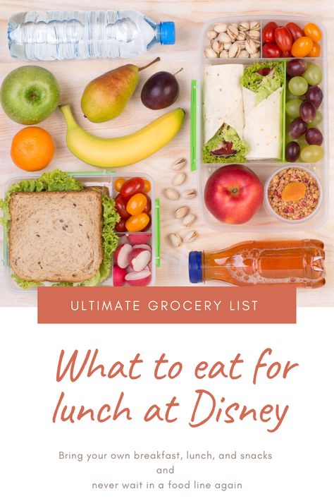 how to bring your own food to disney, what to pack for lunches while at Disney World,  snack ideas for Disney world, grocery list for Disney world, what to bring to Disney world for lunch, take your own food to Disney world, take your own food to theme parks #disneyfood #disneysnacks #disney #disneyhacks #disneytips #disneytricks Food To Bring To Disney World, Lunches To Pack For Disney World, Disney Grocery List, Food To Take To Disney World, Snacks To Bring To Disney, Meals To Pack For Disney World, Snacks For Theme Parks, Theme Park Lunch Ideas, Amusement Park Lunch Ideas