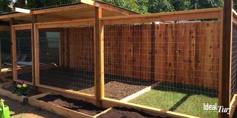 Dog Run Ideas: Definitive Guide To Backyard Dog Potty Areas Dog Run Ideas, Dog Pen Outdoor, Dog Kennel And Run, Outdoor Dog Area, Diy Dog Run, Outdoor Dog Runs, Backyard Dog Area, Dog Enclosures, Dog Potty Area