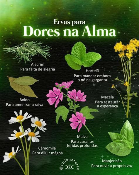 Magia Das Ervas, Wiccan Symbols, Vertical Herb Garden, Magic Herbs, Wiccan Altar, Skin Care Spa, Witch Books, Wiccan Spells, Marjoram